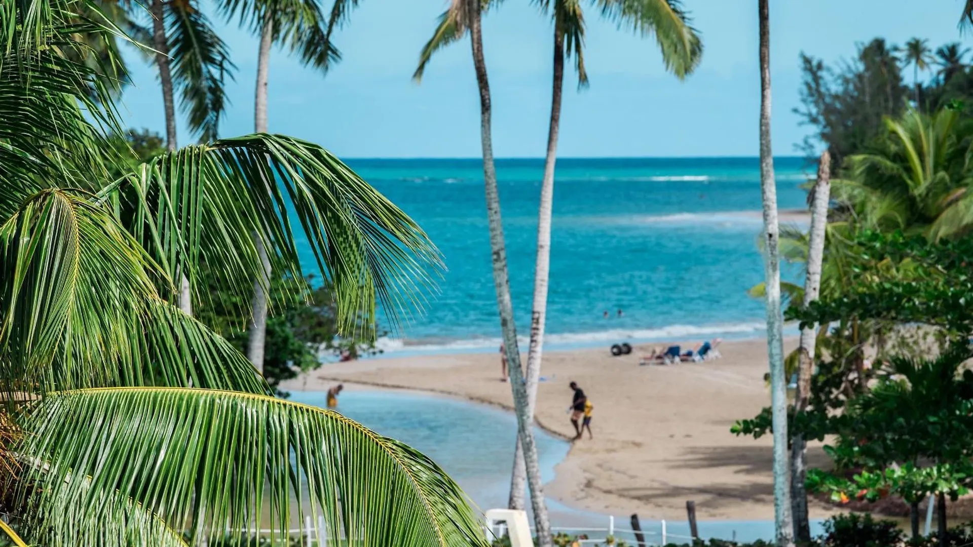 Lägenhet Penthouse Beach Front Las Terrenas
